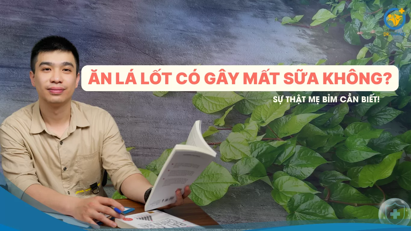 Ăn lá lốt có gây mất sữa không? Sự thật mẹ bỉm cần biết!