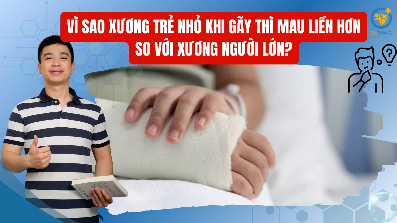 Vì sao xương trẻ nhỏ khi gãy thì mau liền hơn so với xương người lớn?