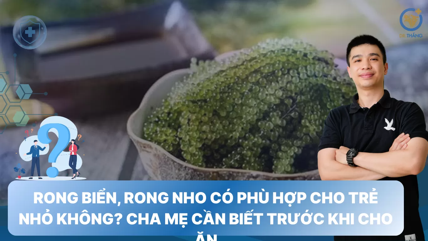 Rong biển, rong nho có phù hợp cho trẻ nhỏ không? Cha mẹ cần biết trước khi cho ăn