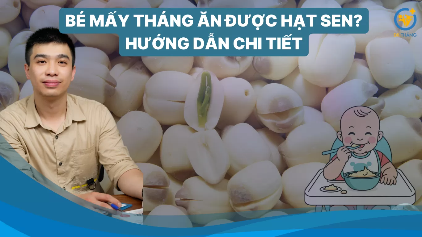 Bé mấy tháng ăn được hạt sen? Hướng dẫn chi tiết