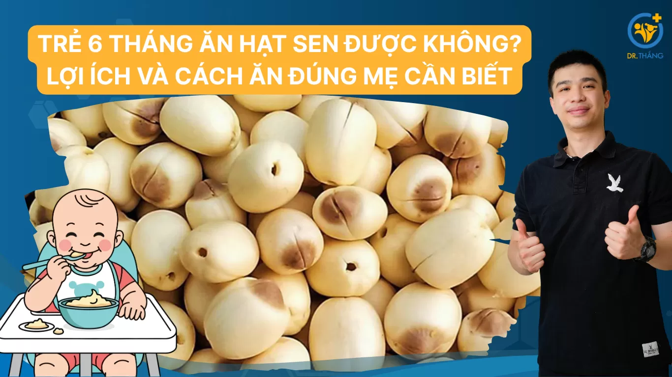 Trẻ 6 tháng ăn hạt sen được không? Lợi ích và cách ăn đúng mẹ cần biết